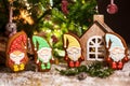 Holiday traditional food bakery. Four Gingerbread little fairytale gnomes in cozy decoration with garland lights