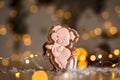 Holiday traditional food bakery. Gingerbread funny piggy in cozy warm decoration with garland lights