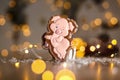 Holiday traditional food bakery. Gingerbread funny piggy in cozy warm decoration with garland lights