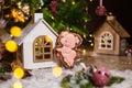 Holiday traditional food bakery. Gingerbread funny piggy in cozy warm decoration with garland lights