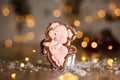 Holiday traditional food bakery. Gingerbread funny piggy in cozy warm decoration with garland lights