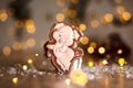 Holiday traditional food bakery. Gingerbread funny piggy in cozy warm decoration with garland lights