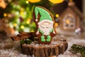 Holiday traditional food bakery. Gingerbread little fairytale gnome in cozy decoration with garland lights