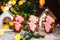 Holiday traditional food bakery. Three Gingerbread funny piggy in cozy warm decoration with garland lights
