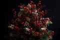 Holiday tree berries. Generate ai