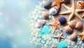 holiday turquoise background with seashells and starfish