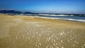 Holiday and vacation concept for tourism.Beautiful beach in Vietnam., Danang.