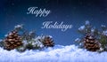 Holiday Winter Night With Snow and Stary Sky Royalty Free Stock Photo