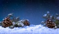 Holiday Winter Night With Snow and Stary Sky Royalty Free Stock Photo