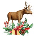 Holiday winter poster, moose and present, green leaves, holly branch and berries. Animal painting in watercolor