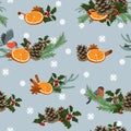 Holiday winter seamless pattern. Seamless pattern with winter plants and birds