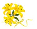 Holiday yellow flowers background.