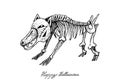 Hand Drawn of Dog Skeleton For Halloween Celebration