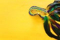 Holidays image of mardi gras masquarade venetian mask over yellow background. view from above Royalty Free Stock Photo