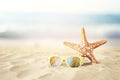 Holidays. sand beach, sunglasses and starfish in front of summer sea background with copy space Royalty Free Stock Photo