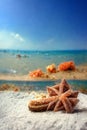 Holidays. sand beach, sunglasses and starfish in front of summer sea background with copy space. Royalty Free Stock Photo