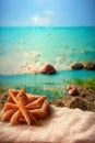 Holidays. sand beach, sunglasses and starfish in front of summer sea background with copy space. Royalty Free Stock Photo