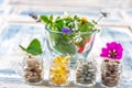 Holistic medicine approach. Healthy food eating, dietary supplements, healing herbs and flowers. wooden background, c.