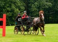 Holker Hall National Carriage Driving Trials 2010 Royalty Free Stock Photo