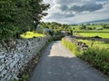 Holl Gate, with dry stone walls, fields and farms in, West Witton, Leyburn, UK