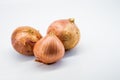 Holland Big onions isolated on a white background
