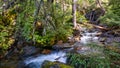 Holland Creek on a Sunny Autumn Day