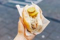 Holland herring fish in female hand outside. Traditional Dutch street food, herring fish. Stock photo street food, herring fish in Royalty Free Stock Photo