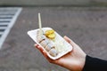 Holland herring fish in female hand outside. Traditional Dutch street food, herring fish. Stock photo street food, herring fish Royalty Free Stock Photo