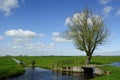 Holland landscape