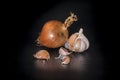 Holland Onions on a black background with closeup