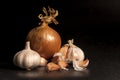 Holland Onions and galic on a black background