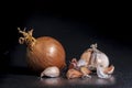 Holland Onions and galic on a black background.