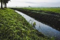 Hollandaise landscape, green field, ditch with water, source for plant irrigation