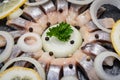 Hollandse Nieuwe- Traditional Dutch Food. Soused raw Herring soaked in mild marinade. Garnished with Lemon, Onion and Parsley Royalty Free Stock Photo