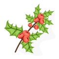 Holli berry - Christmas symbol. Flat vector illustration. Ref berries and green leaves isolated on white background