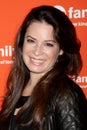 Hollies,Holly Marie Combs Royalty Free Stock Photo