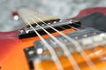 Hollow body electric guitar strings close up of bridge and humbucker pickups jazz blues