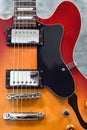 Hollow body electric guitar strings close up of bridge and humbucker pickups jazz blues