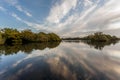 Forest Ponds Symetry