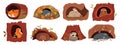 Hollow Tree Animals Set