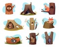 Hollow trees. Cozy houses for wild forest animals exact vector characters