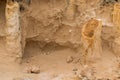 Hollow tubes of limestone, petrified trunk rocks at Petrified Forest Walk, Australia Royalty Free Stock Photo