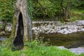 Hollowed Tree Beside Taf Fechan River in South Wales, UK