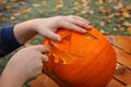 Hollowing out a pumpkin to prepare halloween lantern Royalty Free Stock Photo