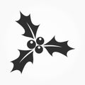 Holly berries icon