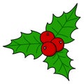 Holly berry Christmas Royalty Free Stock Photo