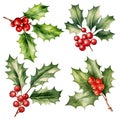 Holly berry Christmas decor wreath for card greeting watercolor paint on white