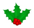Holly berry, Christmas leaves and fruits icon, symbol, design. Royalty Free Stock Photo
