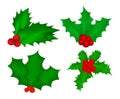 Holly berry, Christmas leaves and fruits icon, symbol, design.