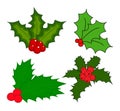 Holly berry, Christmas leaves and fruits icon, symbol, design Royalty Free Stock Photo